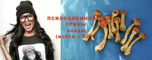 стафф Верея